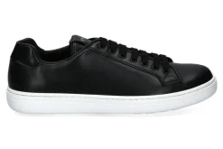 Herren Church's Sneaker BOLAND PLUS 2 CALF BLACK (43½)