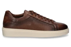 Herren Corvari Sneaker BUFALO CRUST- castagno/braun